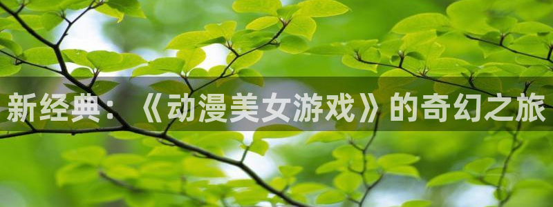 女子曲球樱花动漫：新经典：《动漫美女游戏》的奇幻之旅