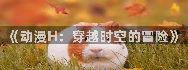 樱花动漫官网专注的门户：《动漫H：穿越时空的冒险》