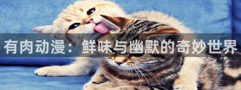 女子曲球动漫全集免费观看樱花动漫：有肉动漫：鲜味与幽默的奇妙世界